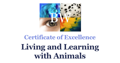 Canine Ed_Certificate 3