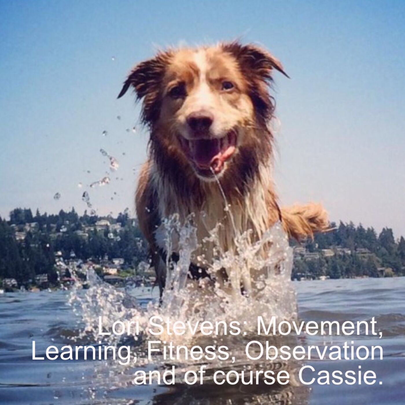 Lori Stevens Movement, Learning, Fitness, Observation and of course Cassie.