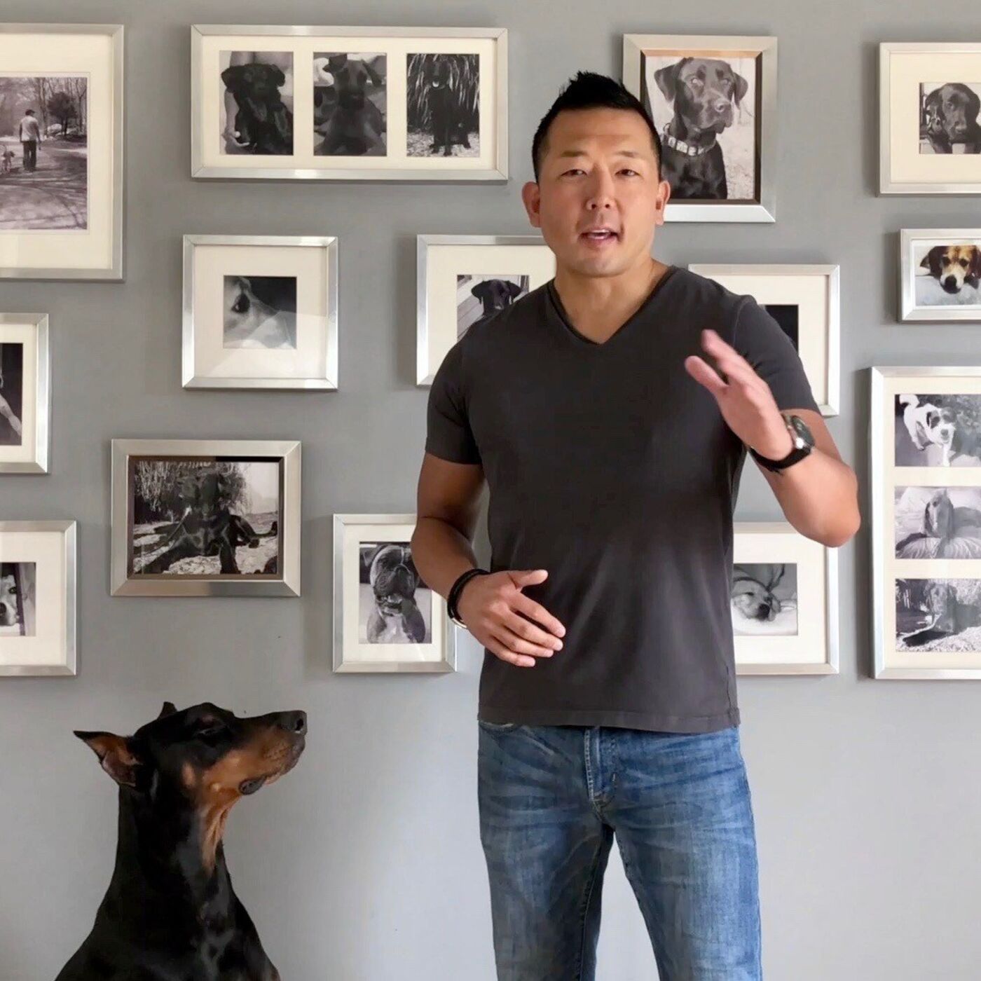 Michael Shikashio's Dog Aggression Master Classes