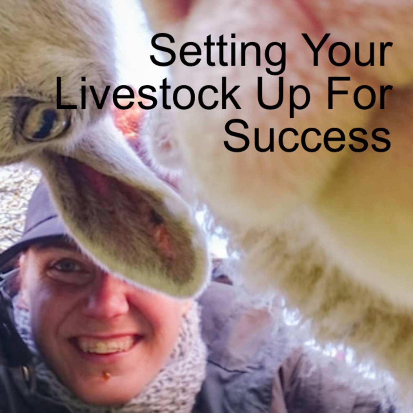 Setting Your Livestock Up For Success