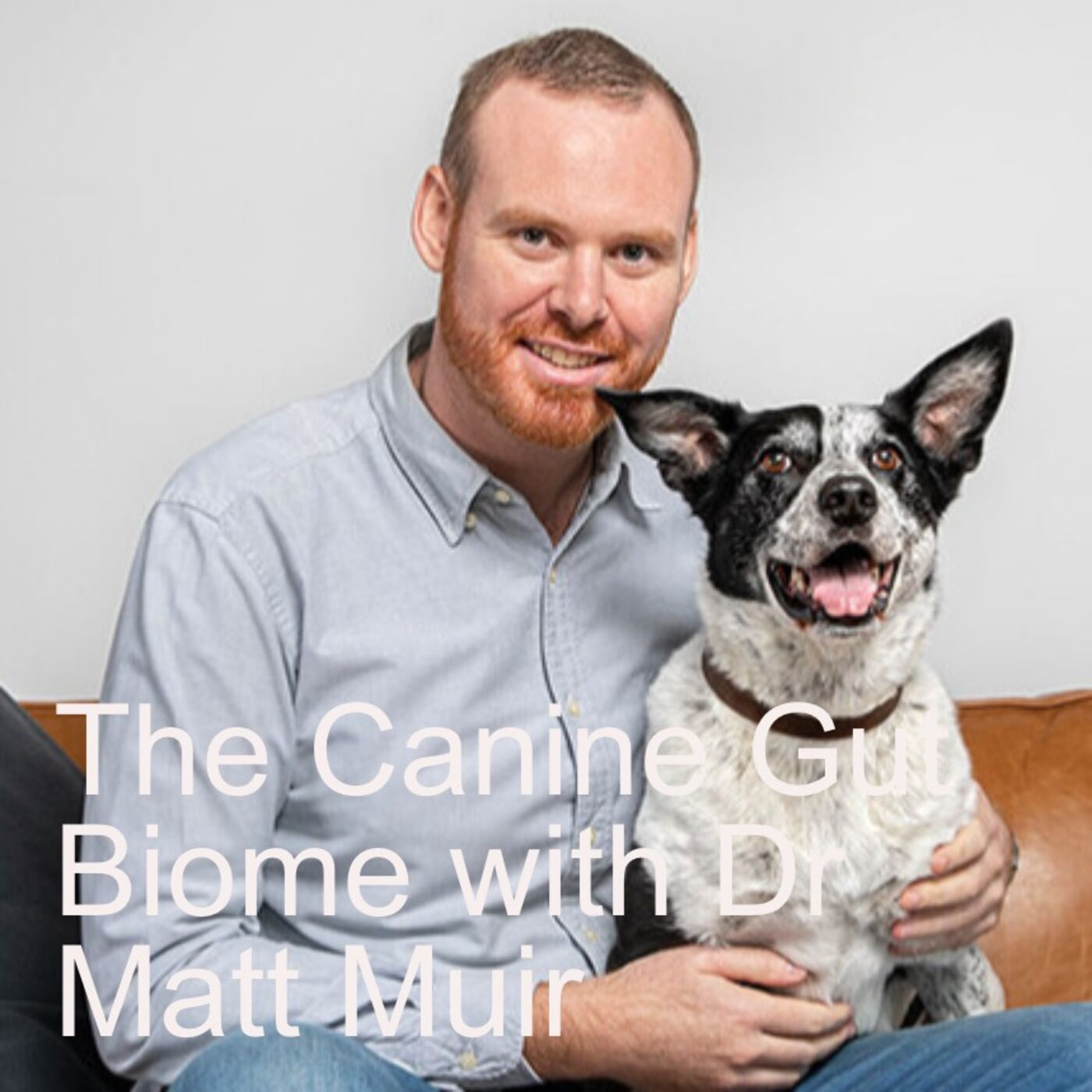 The Canine Gut Biome with Dr Matt Muir
